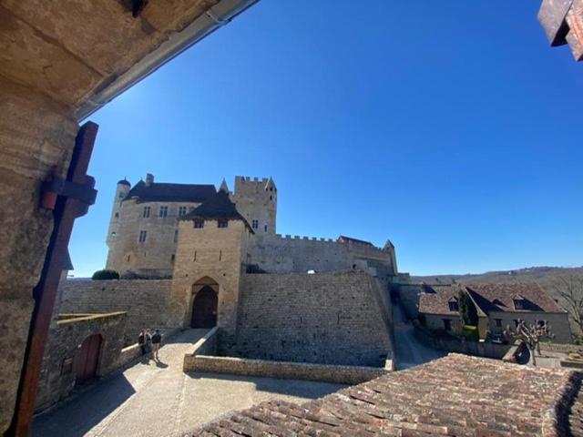 La Croquante Face Au Chateau Beynac-et-Cazenac Εξωτερικό φωτογραφία
